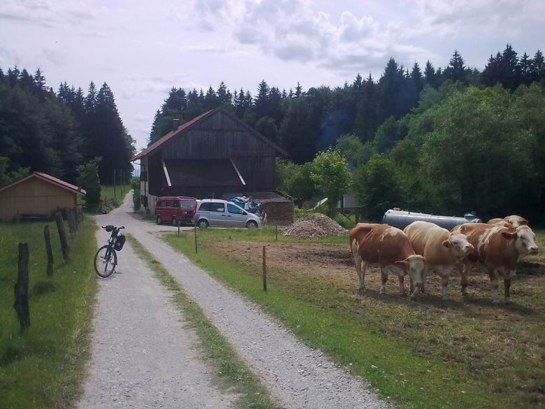 am Isarradweg in der Nhe von Knigsdorf